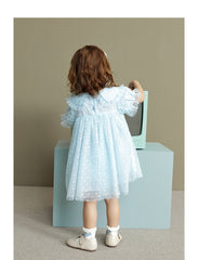 Isla Blue/White Mesh Dress