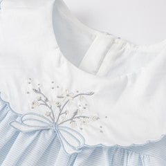 Melora Stripped Light Blue Embroidered Laced Sleeve Dress